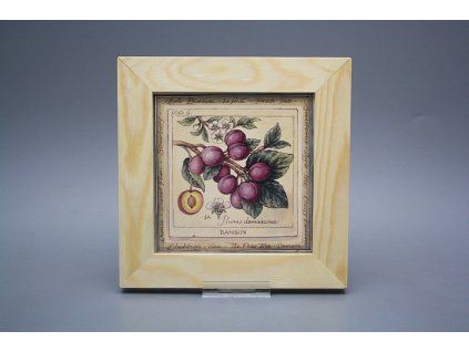 Obrázek 20x20cm Fruta ePBB č. 1