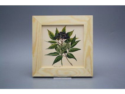 Obrázek 20x20cm Herbs ePBB č. 1