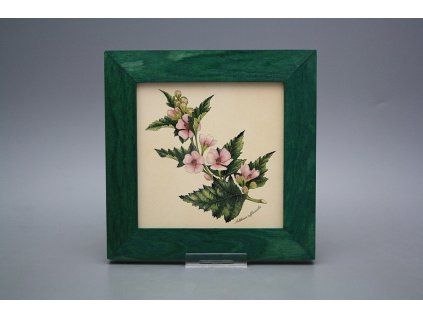 Obrázek 20x20cm Herbs eZLB č. 1