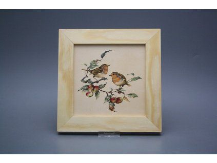 Obrázek 20x20cm Červenka ePBB č. 1