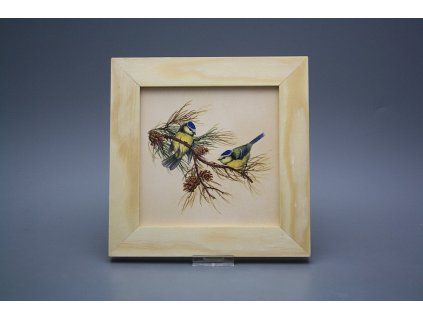 Obrázek 20x20cm Sýkorka ePBB č. 1