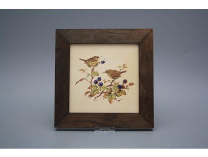 Obrázek 20x20cm Střízlík eTHB č. 1
