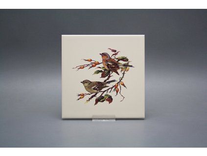 Obklad 15x15cm Pěnkava LBM č. 1