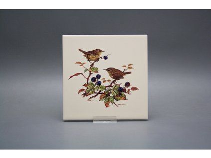 Obklad 15x15cm Střízlík LBM č. 1