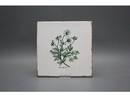 Sada obkladů Forli Blanco 20x20cm 6dílná Herbs č. 1