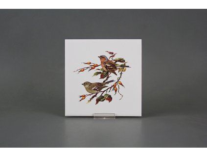 Obklad 15x15cm Pěnkava WM č. 1