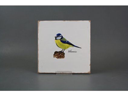 Obklad Forli Blanco 20x20cm Modřinka č. 1