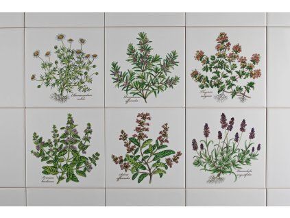 Sada obkladů 15x15cm 6dílná Herbs Classic WL č. 1