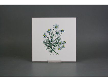Sada obkladů 20x20cm 6dílná Herbs WL č. 1