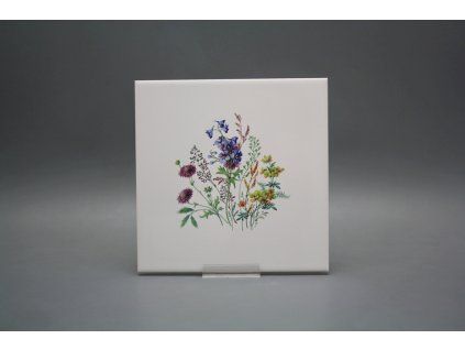 Obklad 20x20cm Kvetoucí louka motiv D WM č. 1