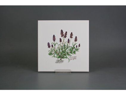 Sada obkladů 20x20cm 6dílná Herbs Classic WM č. 1