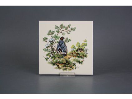 Obklad 15x15cm Koroptve LBM č. 1