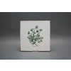 Sada obkladů Forli Blanco 20x20cm 6dílná Herbs č. 1