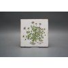 Sada obkladů Forli Blanco 15x15cm 6dílná Herbs Classic č. 2
