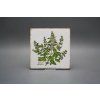 Sada obkladů Forli Blanco 15x15cm 6dílná Herbs Classic č. 5