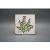 Sada obkladů Forli Blanco 15x15cm 6dílná Herbs Classic č. 6