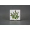 Sada obkladů 15x15cm 6dílná Herbs Classic WL č. 5
