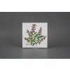 Sada obkladů 15x15cm 6dílná Herbs Classic WL č. 6