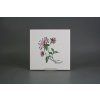 Sada obkladů 20x20cm 6dílná Herbs WL č. 4