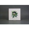 Sada obkladů 20x20cm 6dílná Herbs WL č. 5
