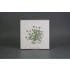 Sada obkladů 20x20cm 6dílná Herbs Classic WL č. 5