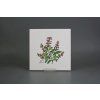 Sada obkladů 20x20cm 6dílná Herbs Classic WL č. 1