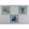 Sada obkladů 15x15cm 3dílná BASKETVEG WL č. 1